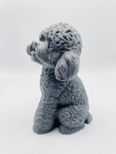 Load image into Gallery viewer, Handmade vegan soaps featuring a large detailed cockapoo dog wrapped in beautiful eco friendly packaging crafted with natural French clays, activated charcoal and essential oils. a eco-friendly, zero waste gift that’s cruelty-free, skin-nourishing, and perfect gift for cockapoo owners, dog lovers and animal themed gifts. small business UK