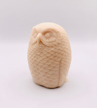 Load image into Gallery viewer, Owl Gift | Teacher Gift | Large Owl Vegan Soap. Eco conscious gift.
Add a touch of charm to your bathroom with this whimsical owl design soap. Each chunky bar is vegan, cruelty-free, and wrapped in beautiful, eco-friendly packaging.
Create Your Perfect Owl Soap!
Choose your favourite natural French clay colour and essential oil to create your own unique owl soap.