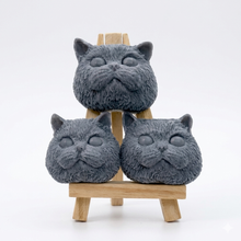 Load image into Gallery viewer, Handmade Cat Face Soap Set – Cat Lover Gift, Animal Lover Gift