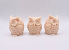 Load image into Gallery viewer, Handmade vegan soaps featuring a set of three owls, gift boxed in beautiful eco friendly packaging. crafted with natural French clays, activated charcoal and essential oils. a eco-friendly, zero waste gift that’s cruelty-free, skin-nourishing, the perfect gift for owl lovers and animal lovers. small business UK