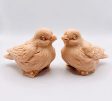 Load image into Gallery viewer, Handmade vegan soaps featuring a set of two love birds . gift boxed in beautiful eco friendly packaging. crafted with natural French clays, activated charcoal and essential oils. a eco-friendly, zero waste gift that’s cruelty-free, skin-nourishing, the perfect gift for bird lovers and animal lovers. UK Small Business