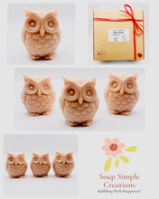 Load image into Gallery viewer, Handmade vegan soaps featuring a set of three owls, gift boxed in beautiful eco friendly packaging. crafted with natural French clays, activated charcoal and essential oils. a eco-friendly, zero waste gift that’s cruelty-free, skin-nourishing, the perfect gift for owl lovers and animal lovers. small business UK