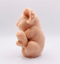 Load image into Gallery viewer, Handmade vegan soaps featuring a chunky koala bear climbing a tree packaged in beautiful eco friendly packaging crafted with natural French clays, activated charcoal and essential oils. a eco-friendly, zero waste gift that’s cruelty-free, skin-nourishing, and perfect for koala bear lovers and animal themed gifts. small business UK