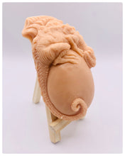 Load image into Gallery viewer, Dinosaur Gift | dinosaur Lover Gift | dragon Lover Gift | alternative Gift | Dragon & Egg Vegan Soap Check out this majestic dragon guarding a mysterious, enchanting egg – all captured in a luxurious bar of soap! Vegan, cruelty-free, and elegantly wrapped in eco-friendly packaging. All our soaps are made with natural clays and essential oils to gently cleanse and nourish your skin. Plus, they come in eco-friendly packaging so you can feel good about your purchase and the environment.
