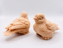 Load image into Gallery viewer, Handmade vegan soaps featuring a set of two love birds . gift boxed in beautiful eco friendly packaging. crafted with natural French clays, activated charcoal and essential oils. a eco-friendly, zero waste gift that’s cruelty-free, skin-nourishing, the perfect gift for bird lovers and animal lovers. UK Small Business