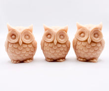 Load image into Gallery viewer, Handmade vegan soaps featuring a set of three owls, gift boxed in beautiful eco friendly packaging. crafted with natural French clays, activated charcoal and essential oils. a eco-friendly, zero waste gift that’s cruelty-free, skin-nourishing, the perfect gift for owl lovers and animal lovers. small business UK