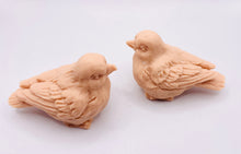 Load image into Gallery viewer, Handmade vegan soaps featuring a set of two love birds . gift boxed in beautiful eco friendly packaging. crafted with natural French clays, activated charcoal and essential oils. a eco-friendly, zero waste gift that’s cruelty-free, skin-nourishing, the perfect gift for bird lovers and animal lovers. UK Small Business