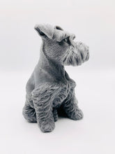 Load image into Gallery viewer, Handmade vegan soaps featuring a large schnauzer dog, in beautiful eco friendly packaging. crafted with natural French clays, activated charcoal and essential oils. a eco-friendly, zero waste gift that’s cruelty-free, skin-nourishing, the perfect gift for dog lovers and animal lovers. small business UK