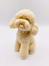 Load image into Gallery viewer, Handmade vegan soaps featuring a large detailed cockapoo dog wrapped in beautiful eco friendly packaging crafted with natural French clays, activated charcoal and essential oils. a eco-friendly, zero waste gift that’s cruelty-free, skin-nourishing, and perfect gift for cockapoo owners, dog lovers and animal themed gifts. small business UK