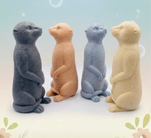 Load image into Gallery viewer, Handmade vegan soaps featuring a set of 5 turtle family soaps and gift boxed in beautiful eco friendly packaging crafted with natural French clays, activated charcoal and essential oils. a eco-friendly, zero waste gift that’s cruelty-free, skin-nourishing, and perfect for turtle lovers and animal themed gifts. small business UK