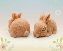 Load image into Gallery viewer, Handmade vegan soaps featuring a set of two detailed rabbit soaps, beautifully gift boxed in eco friendly packaging. crafted with natural French clays, activated charcoal and essential oils. a eco-friendly, zero waste gift that’s cruelty-free, skin-nourishing, and perfect for rabbit owners gifts and Mother’s Day. Small business UK