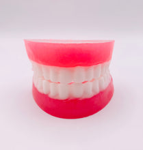 Load image into Gallery viewer, Dentist gift dental assistant gift dentist gift dental nurse gift healthcare Set of Denture vegan Soaps This fun, novelty set of denture soaps are the perfect gift for anyone in the dental industry. Set includes top and bottom dentures infused with spearmint essential oil.