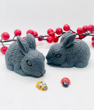 Load image into Gallery viewer, Handmade vegan soaps featuring a set of two detailed rabbit soaps, beautifully gift boxed in eco friendly packaging. crafted with natural French clays, activated charcoal and essential oils. a eco-friendly, zero waste gift that’s cruelty-free, skin-nourishing, and perfect for rabbit owners gifts and Mother’s Day. Small business UK