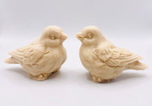 Load image into Gallery viewer, Handmade vegan soaps featuring a set of two love birds . gift boxed in beautiful eco friendly packaging. crafted with natural French clays, activated charcoal and essential oils. a eco-friendly, zero waste gift that’s cruelty-free, skin-nourishing, the perfect gift for bird lovers and animal lovers. UK Small Business