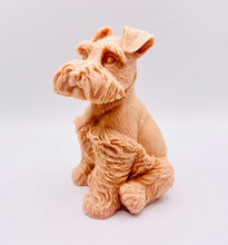 Load image into Gallery viewer, Handmade vegan soaps featuring a large schnauzer dog, in beautiful eco friendly packaging. crafted with natural French clays, activated charcoal and essential oils. a eco-friendly, zero waste gift that’s cruelty-free, skin-nourishing, the perfect gift for dog lovers and animal lovers. small business UK