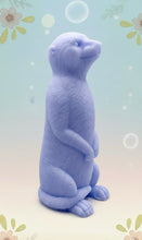 Load image into Gallery viewer, Handmade vegan soaps featuring a set of 5 turtle family soaps and gift boxed in beautiful eco friendly packaging crafted with natural French clays, activated charcoal and essential oils. a eco-friendly, zero waste gift that’s cruelty-free, skin-nourishing, and perfect for turtle lovers and animal themed gifts. small business UK