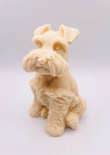 Load image into Gallery viewer, Handmade vegan soaps featuring a large schnauzer dog, in beautiful eco friendly packaging. crafted with natural French clays, activated charcoal and essential oils. a eco-friendly, zero waste gift that’s cruelty-free, skin-nourishing, the perfect gift for dog lovers and animal lovers. small business UK