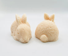 Load image into Gallery viewer, Handmade vegan soaps featuring a set of two detailed rabbit soaps, beautifully gift boxed in eco friendly packaging. crafted with natural French clays, activated charcoal and essential oils. a eco-friendly, zero waste gift that’s cruelty-free, skin-nourishing, and perfect for rabbit owners gifts and Mother’s Day. Small business UK