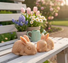 Load image into Gallery viewer, Handmade vegan soaps featuring a set of two detailed rabbit soaps, beautifully gift boxed in eco friendly packaging. crafted with natural French clays, activated charcoal and essential oils. a eco-friendly, zero waste gift that’s cruelty-free, skin-nourishing, and perfect for rabbit owners gifts and Mother’s Day. Small business UK