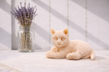 Load image into Gallery viewer, Handmade vegan soaps featuring a lazy cat, in beautiful eco friendly packaging.