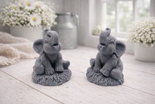 Load image into Gallery viewer, A charming gift set of two handmade vegan soaps, one sculpted as a sitting baby elephant with a trunk raised in a greeting and the other as a smaller standing calf, displayed on a light wooden surface in a bright farmhouse setting.