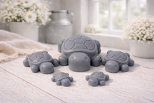 Load image into Gallery viewer, Handmade vegan soaps featuring a set of 5 turtle family soaps and gift boxed in beautiful eco friendly packaging