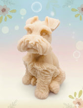 Load image into Gallery viewer, Handmade vegan soaps featuring a large schnauzer dog, in beautiful eco friendly packaging. crafted with natural French clays, activated charcoal and essential oils. a eco-friendly, zero waste gift that’s cruelty-free, skin-nourishing, the perfect gift for dog lovers and animal lovers. small business UK