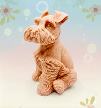 Load image into Gallery viewer, Handmade vegan soaps featuring a large schnauzer dog, in beautiful eco friendly packaging. crafted with natural French clays, activated charcoal and essential oils. a eco-friendly, zero waste gift that’s cruelty-free, skin-nourishing, the perfect gift for dog lovers and animal lovers. small business UK