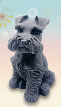 Load image into Gallery viewer, Handmade vegan soaps featuring a large schnauzer dog, in beautiful eco friendly packaging. crafted with natural French clays, activated charcoal and essential oils. a eco-friendly, zero waste gift that’s cruelty-free, skin-nourishing, the perfect gift for dog lovers and animal lovers. small business UK