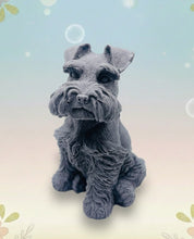 Load image into Gallery viewer, Handmade vegan soaps featuring a large schnauzer dog, in beautiful eco friendly packaging. crafted with natural French clays, activated charcoal and essential oils. a eco-friendly, zero waste gift that’s cruelty-free, skin-nourishing, the perfect gift for dog lovers and animal lovers. small business UK