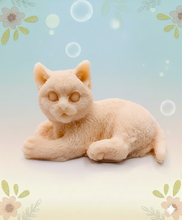 Load image into Gallery viewer, Handmade vegan soaps featuring a lazy cat, in beautiful eco friendly packaging. crafted with natural French clays, activated charcoal and essential oils. a eco-friendly, zero waste gift that’s cruelty-free, skin-nourishing, the perfect gift for cat lovers or for animal lovers. small business UK