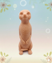 Load image into Gallery viewer, Handmade vegan soaps featuring a set of 5 turtle family soaps and gift boxed in beautiful eco friendly packaging crafted with natural French clays, activated charcoal and essential oils. a eco-friendly, zero waste gift that’s cruelty-free, skin-nourishing, and perfect for turtle lovers and animal themed gifts. small business UK