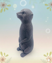 Load image into Gallery viewer, Handmade vegan soaps featuring a set of 5 turtle family soaps and gift boxed in beautiful eco friendly packaging crafted with natural French clays, activated charcoal and essential oils. a eco-friendly, zero waste gift that’s cruelty-free, skin-nourishing, and perfect for turtle lovers and animal themed gifts. small business UK