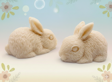 Load image into Gallery viewer, Handmade vegan soaps featuring a set of two detailed rabbit soaps, beautifully gift boxed in eco friendly packaging. crafted with natural French clays, activated charcoal and essential oils. a eco-friendly, zero waste gift that’s cruelty-free, skin-nourishing, and perfect for rabbit owners gifts and Mother’s Day. Small business UK