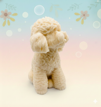 Load image into Gallery viewer, Handmade vegan soaps featuring a large detailed cockapoo dog wrapped in beautiful eco friendly packaging crafted with natural French clays, activated charcoal and essential oils. a eco-friendly, zero waste gift that’s cruelty-free, skin-nourishing, and perfect gift for cockapoo owners, dog lovers and animal themed gifts. small business UK