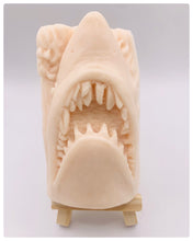 Load image into Gallery viewer, Shark Gift | Unique shark Gift | ocean animal Gift | wild Animal Gift | aquatic gift | unique gift, ocean gift | Birthday gift, Christmas gift, Stocking filler, Secret Santa gift, Teacher gift, Thank you gift, New baby gift, Baby shower gift, Housewarming gift, Easter gift, Valentine’s Day gift, Mother’s Day gift, Father’s Day gift, Wedding gift, Bridesmaid gift, Groomsman gift, Anniversary gift, Engagement gift, Thinking of you gift, Get well soon gift, Just because gift, Friendship