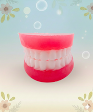 Load image into Gallery viewer, Dentist gift dental assistant gift dentist gift dental nurse gift healthcare Set of Denture vegan Soaps This fun, novelty set of denture soaps are the perfect gift for anyone in the dental industry. Set includes top and bottom dentures infused with spearmint essential oil.