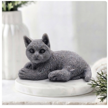 Load image into Gallery viewer, A highly detailed handmade vegan soap sculpted in the shape of a sitting cat with its tail curled around its paws, featuring realistic fur texture and a sweet facial expression, displayed on a light wooden surface.