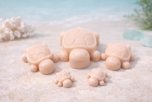 Load image into Gallery viewer, Handmade vegan soaps featuring a set of 5 turtle family soaps and gift boxed in beautiful eco friendly packaging