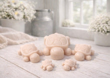 Load image into Gallery viewer, Handmade vegan soaps featuring a set of 5 turtle family soaps and gift boxed in beautiful eco friendly packaging