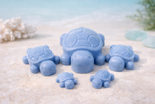 Load image into Gallery viewer, Handmade vegan soaps featuring a set of 5 turtle family soaps and gift boxed in beautiful eco friendly packaging