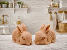 Load image into Gallery viewer, Set of two handmade vegan soaps in the shape of realistic crouching rabbits with detailed fur texture, displayed on a rustic white wooden surface in a bright farmhouse decor setting. Gift boxed.