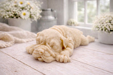 Load image into Gallery viewer, A highly detailed handmade vegan soap gift sculpted in the shape of a Shar Pei puppy lying flat on its stomach with its head resting on its paws, featuring realistic deep skin folds and wrinkles. Handmade in Blackpool