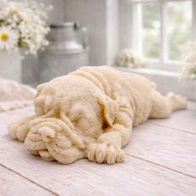 Load image into Gallery viewer, A highly detailed handmade vegan soap gift sculpted in the shape of a Shar Pei puppy lying flat on its stomach with its head resting on its paws, featuring realistic deep skin folds and wrinkles. Handmade in Blackpool
