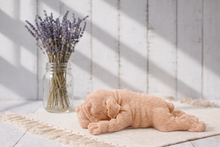 Load image into Gallery viewer, Handmade Sleepy Shar Pei Soap - Dog Lover Gift - Home Decor