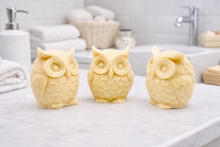Load image into Gallery viewer, handmade vegan soaps in the shape of owls with detailed feathered textures and large eyes, Beautifully gift boxed in eco friendly packaging.