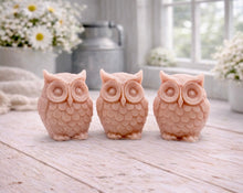 Load image into Gallery viewer, A gift set featuring three handmade vegan soaps shaped like barn owls , arranged in a row on a light wooden surface with white flowers in the background