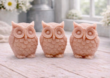Load image into Gallery viewer, A gift set featuring three handmade vegan soaps shaped like barn owls , arranged in a row on a light wooden surface with white flowers in the background