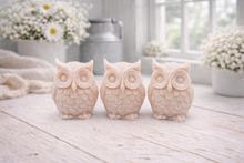 Load image into Gallery viewer, A gift set featuring three handmade vegan soaps shaped like barn owls , arranged in a row on a light wooden surface with white flowers in the background