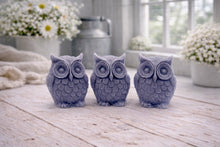 Load image into Gallery viewer, A gift set featuring three handmade vegan soaps shaped like barn owls , arranged in a row on a light wooden surface with white flowers in the background